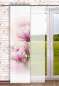 Mobile Preview: Flächengardine Magnolie kombiniert mit transparenter Fläche