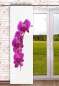 Mobile Preview: Schiebevorhang Orchideenrispe am Fenster