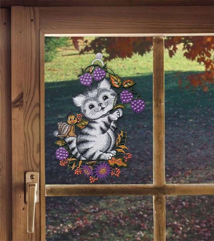 Spitzenbild Katze mit Brombeeren am Fenster