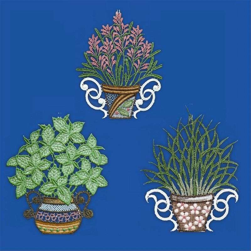 Lavendel, Schnittlauch und Basilikum als Fensterdeko