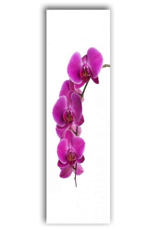 Schiebepaneele Orchideenrispe Musterbild