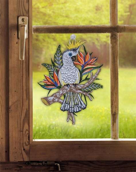 Spitzenbild Kakadu am Fenster