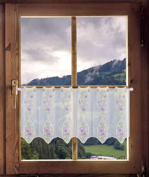 Kurzstore Stiefmütterchen in lila am Fenster dekoriert