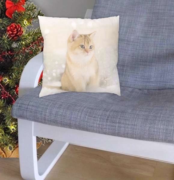 Kissenbezug Katze auf dem Sofa